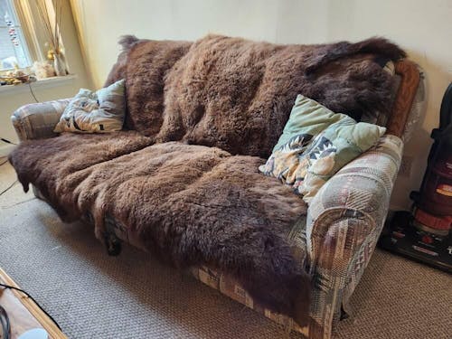 Buffalo/Bison Hair-On Hide Rug | Classic First-Grade