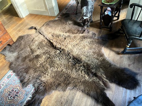 Buffalo/Bison Hair-On Hide Rug | Classic First-Grade