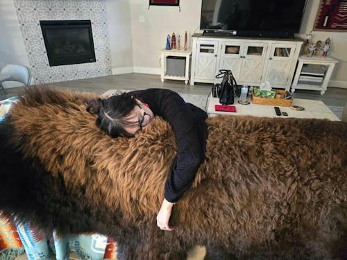 Buffalo/Bison Hair-On Hide Rug | Classic First-Grade