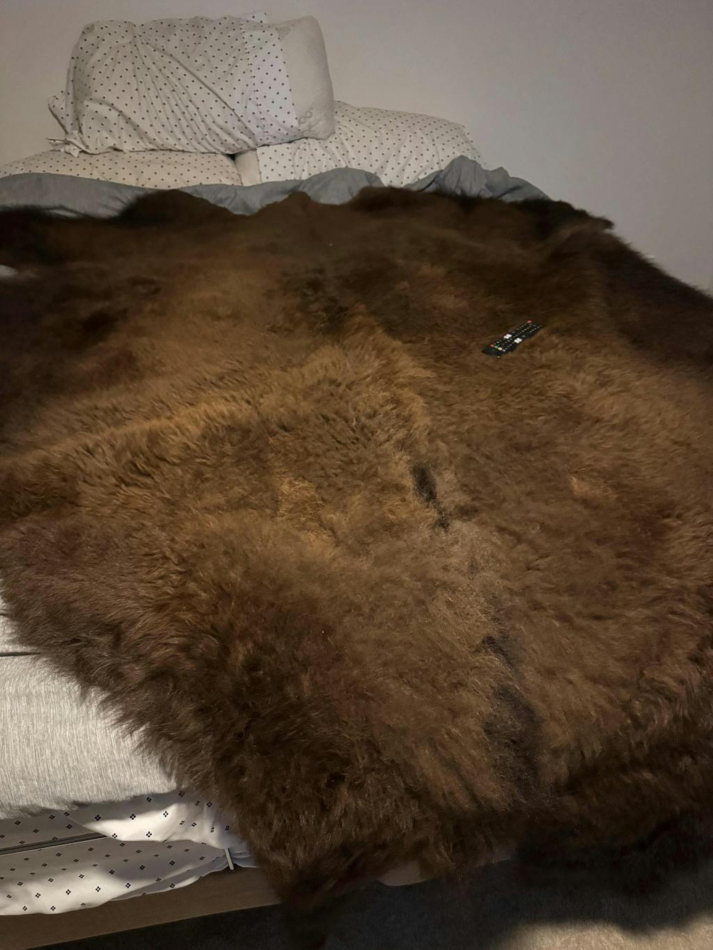 Bison Hide Rug Large | First-Grade Hair-On – Natural American Buffalo