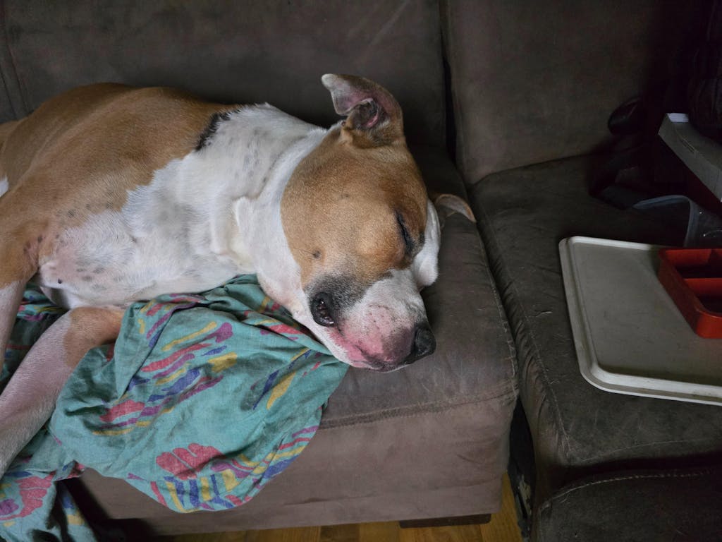 Oordruppels na het zwemmen