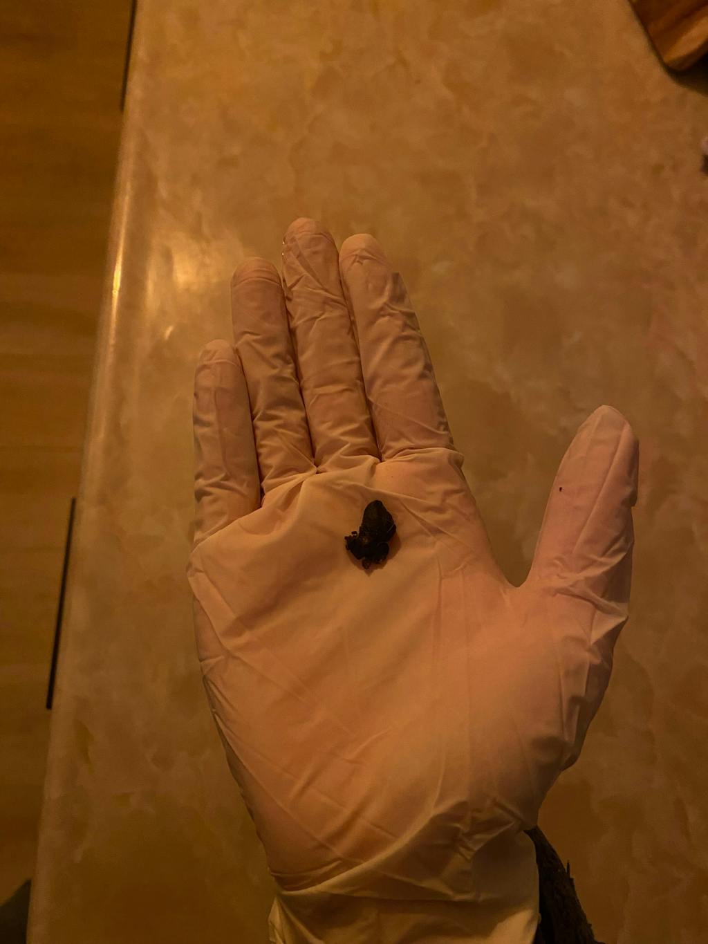 Oordruppels na het zwemmen