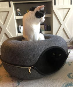 "Donut!" Cat Hideaway Cave