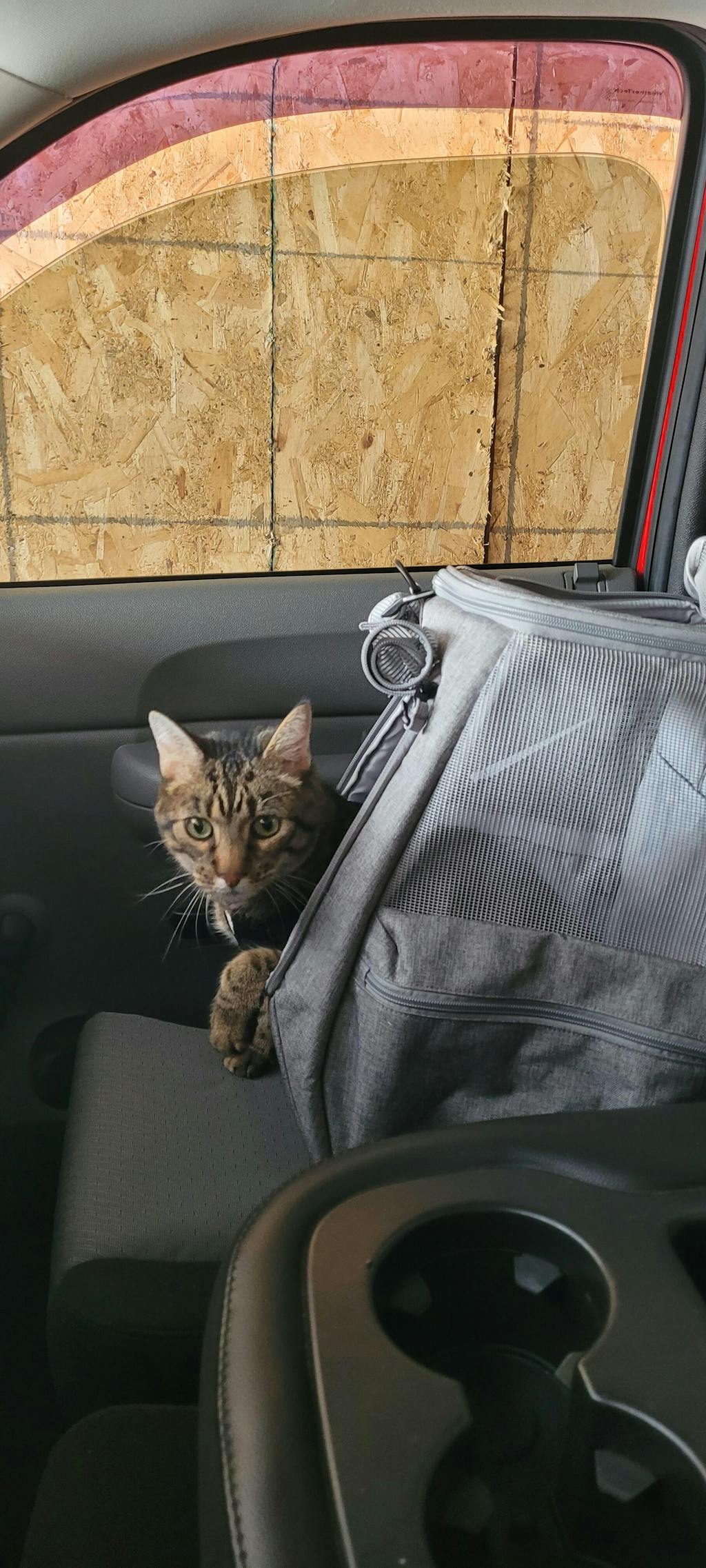"The Navigator" Convertible Cat Backpack For Adventurous Cats and Hu