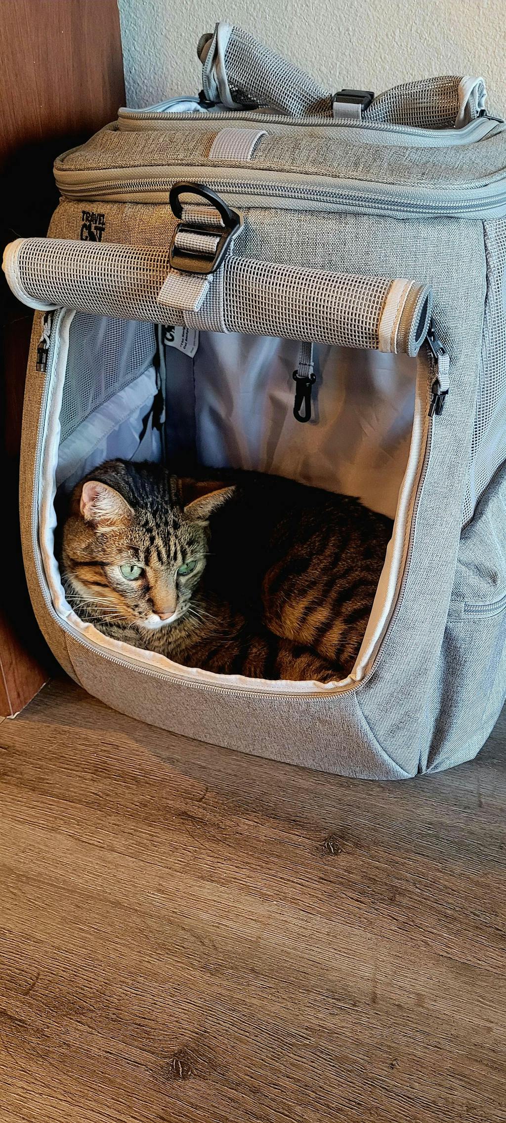 "The Navigator" Convertible Cat Backpack For Adventurous Cats and Hu