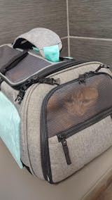 The Transpurrter Ultimate Calming Convertible Cat Carrier in Heather Grey and Teal / Your Cat Backpack