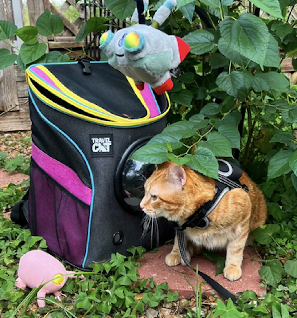 B-12 & Zurk Cat Toy Set by Stray x Travel Cat - Limited Edition