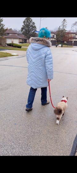 "The True Adventurer" Reflective Cat & Kitten Harness and Leash
