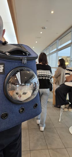 "The Fat Cat" Cat Backpack - For Larger Cats
