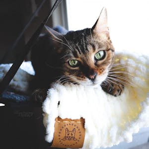 "Snowdrop" Knit Blanket