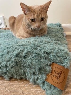 Faux Fur Blankets