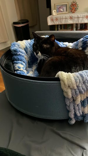 "Periwinkle" Knit Blanket