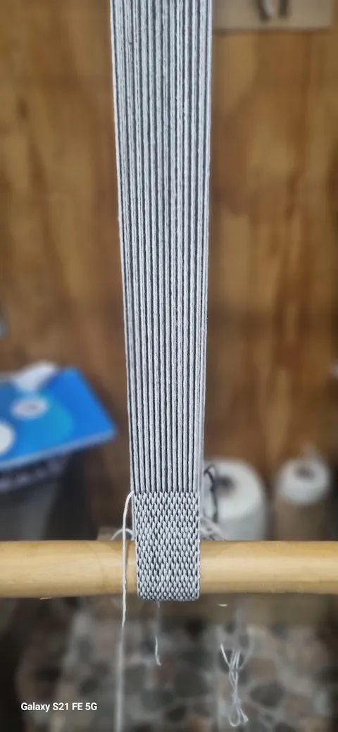 Pitilla de algodón crudo en bobinas