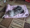 Cat & Dogs Cooling Mats
