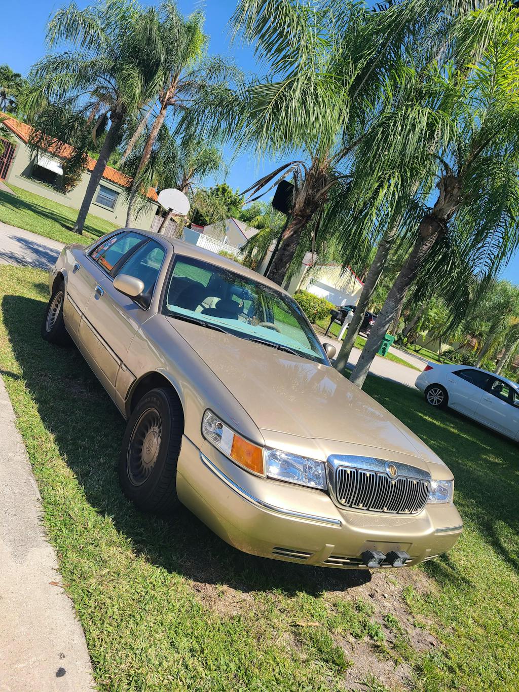 TriboTEX Transmission Differential Formula