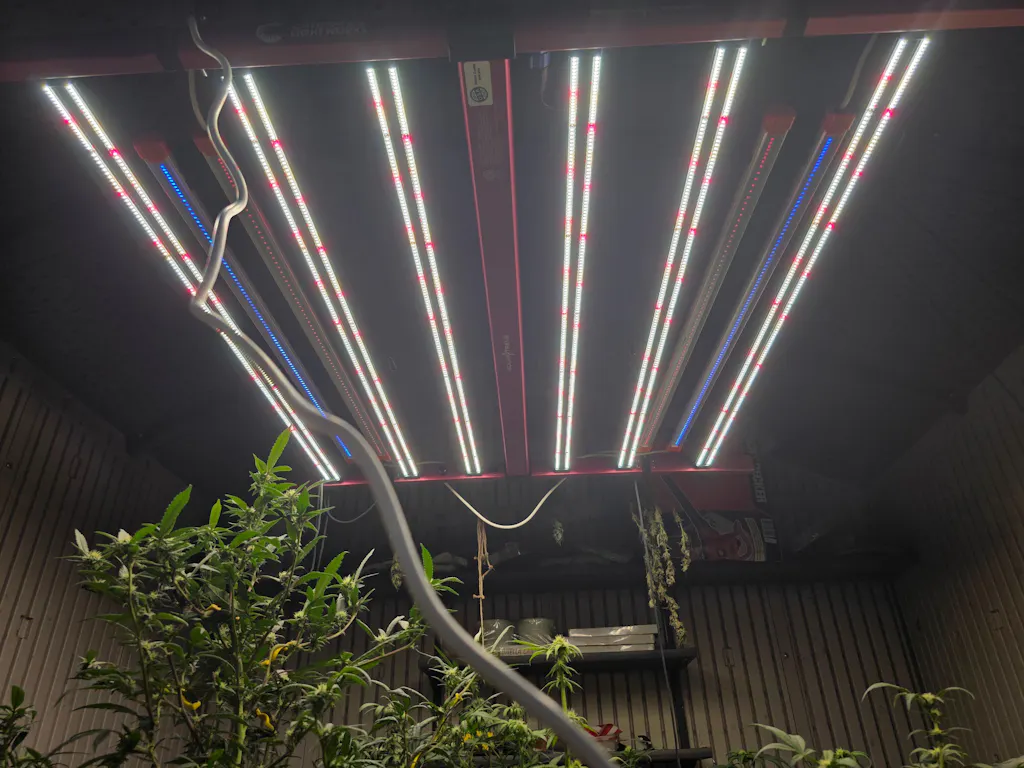 GROW1 Green LED COB Worklight With Magnet - Image 6