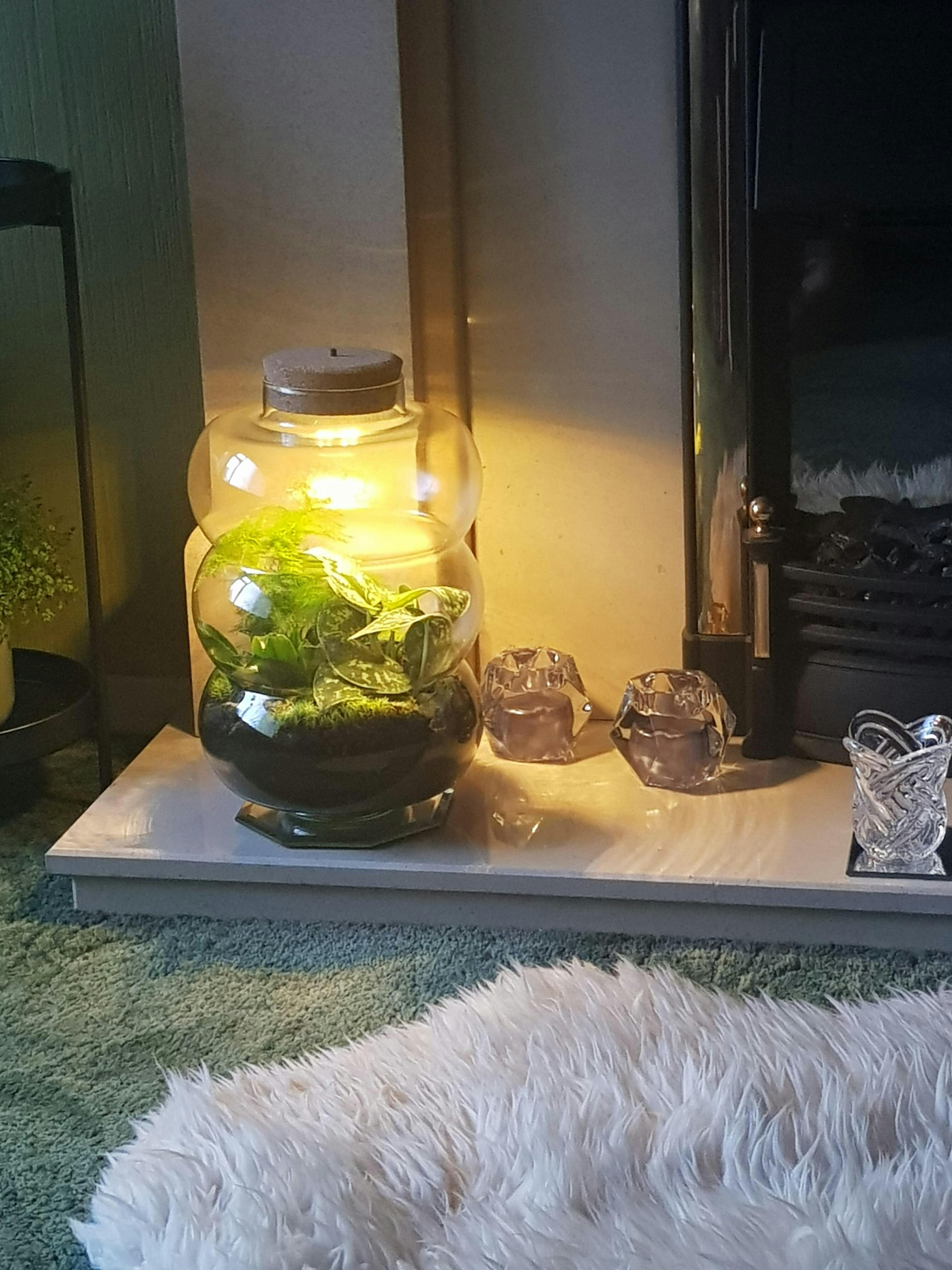 Terrarium Cork Lid with LED light Various sizes Tropical Glass