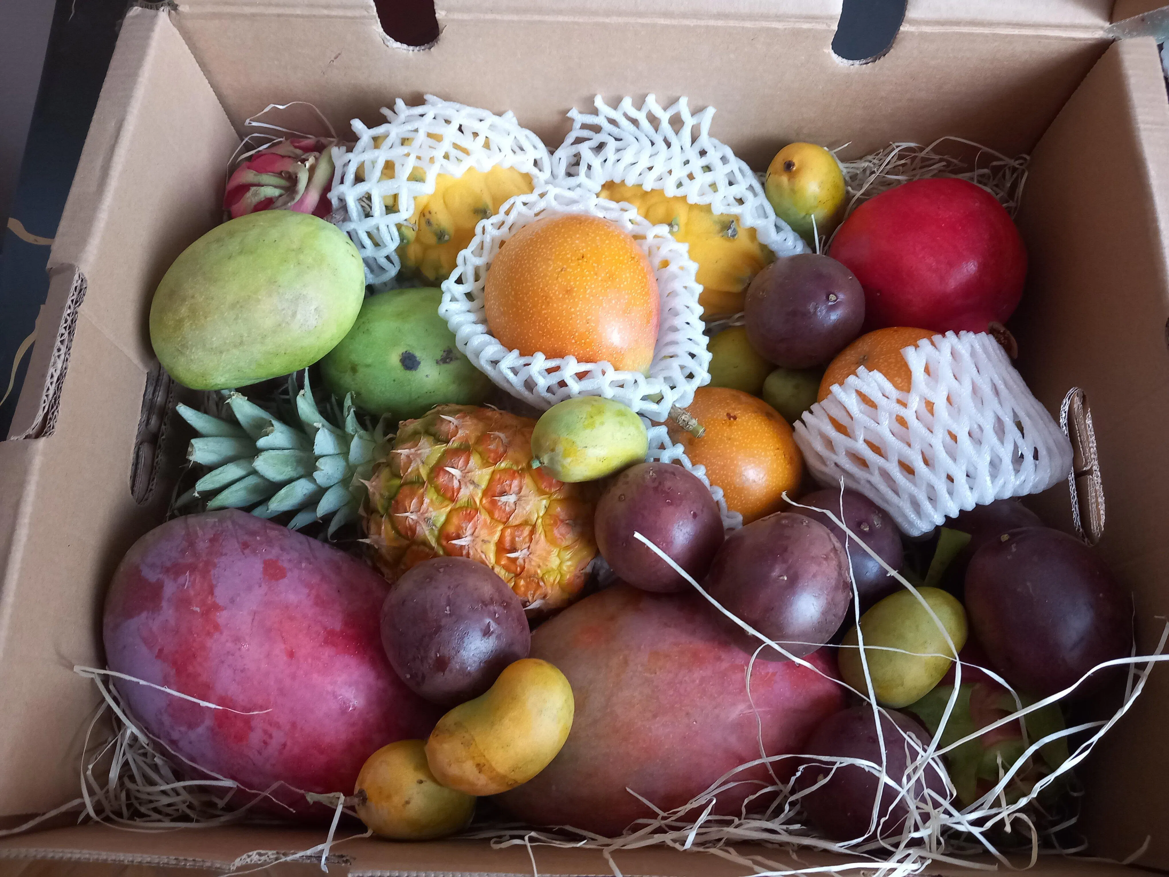 Mix Tropical Fruit – TropicalFruitParadise