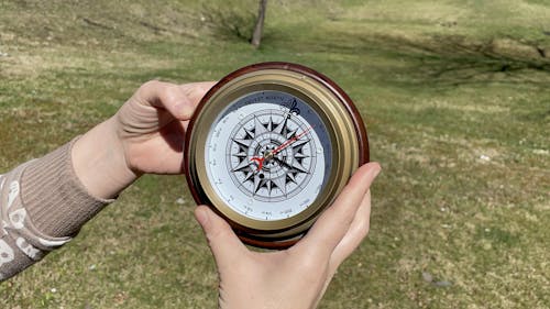 Truest North Compass