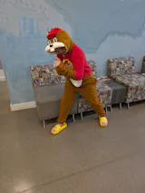 User picture