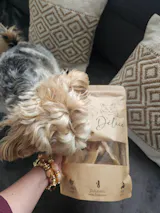 TRUFFE DÉLICE