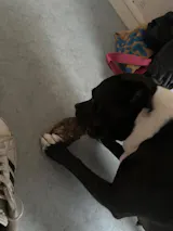 TRUFFE DÉLICE