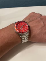 Fight Fight Fight Red Beauty