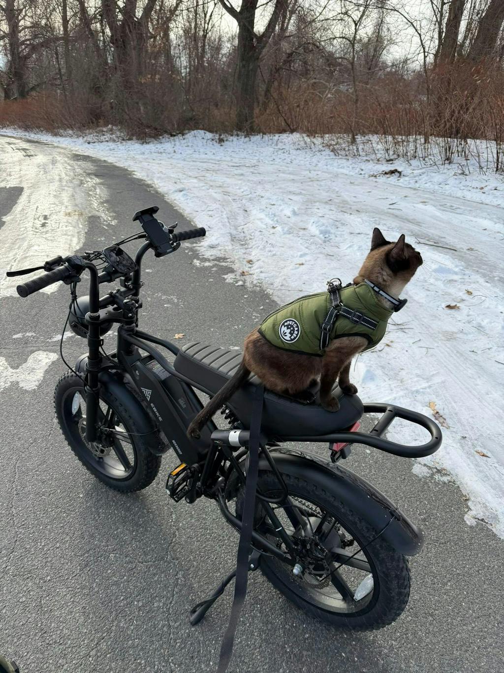 TST® R002 20'' 1500W Full Suspension Moped-style Electric Bike