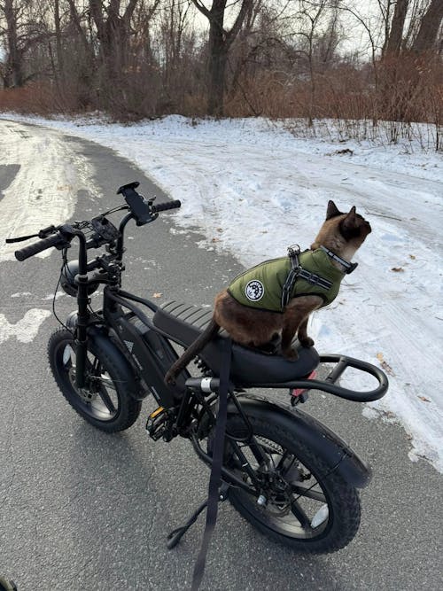 TST® R002 20'' 1500W Full Suspension Moped-style Electric Bike