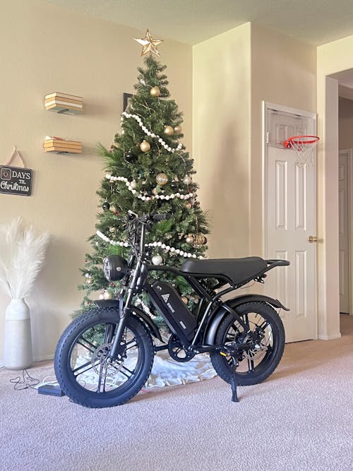 TST® R002 20'' 1500W Full Suspension Moped-style Electric Bike