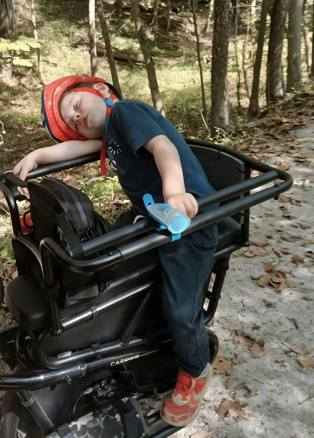 TST® Carrier 20'' Cargo Electric Bike