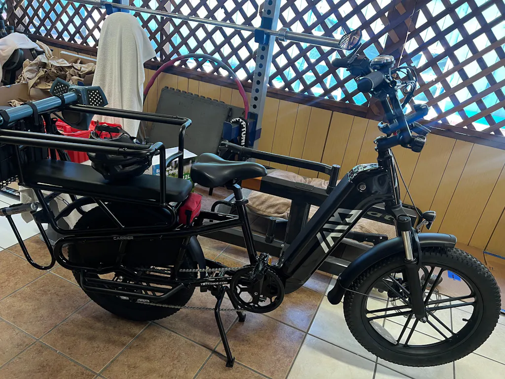 TST® Carrier 20'' Cargo Electric Bike