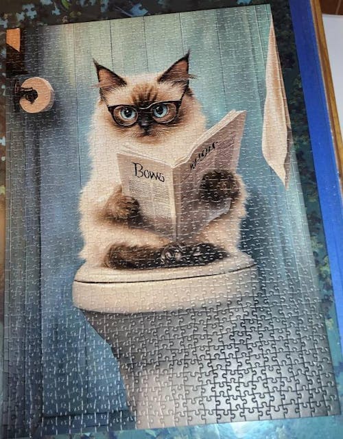 Cat Reading Newspaper on Toilet Jigsaw Puzzle