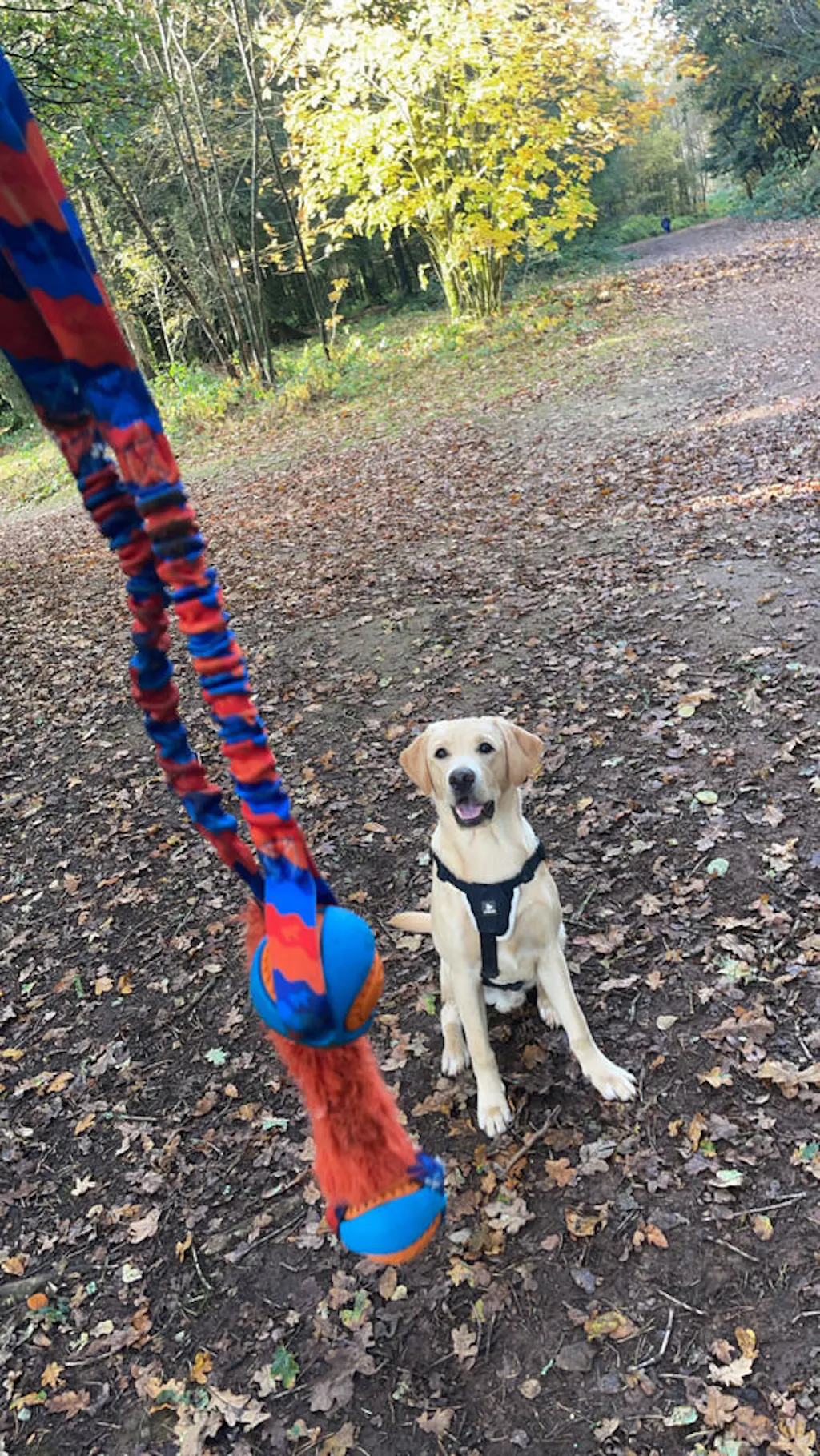 Fauxtastic PowerBall Bungee Tug | Strong Dog Toys | Tug-E-Nuff