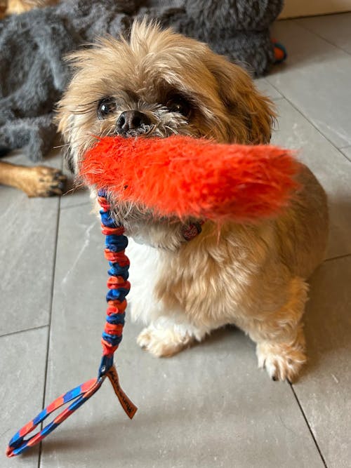 Big Twizzler