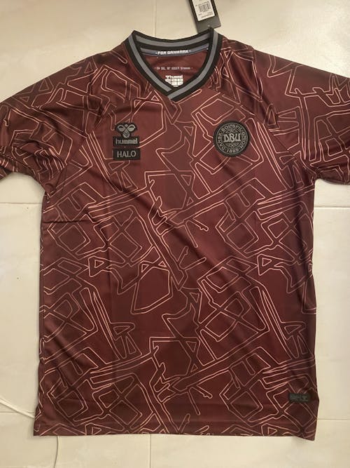 Camisola Special Edition Dinamarca 2024