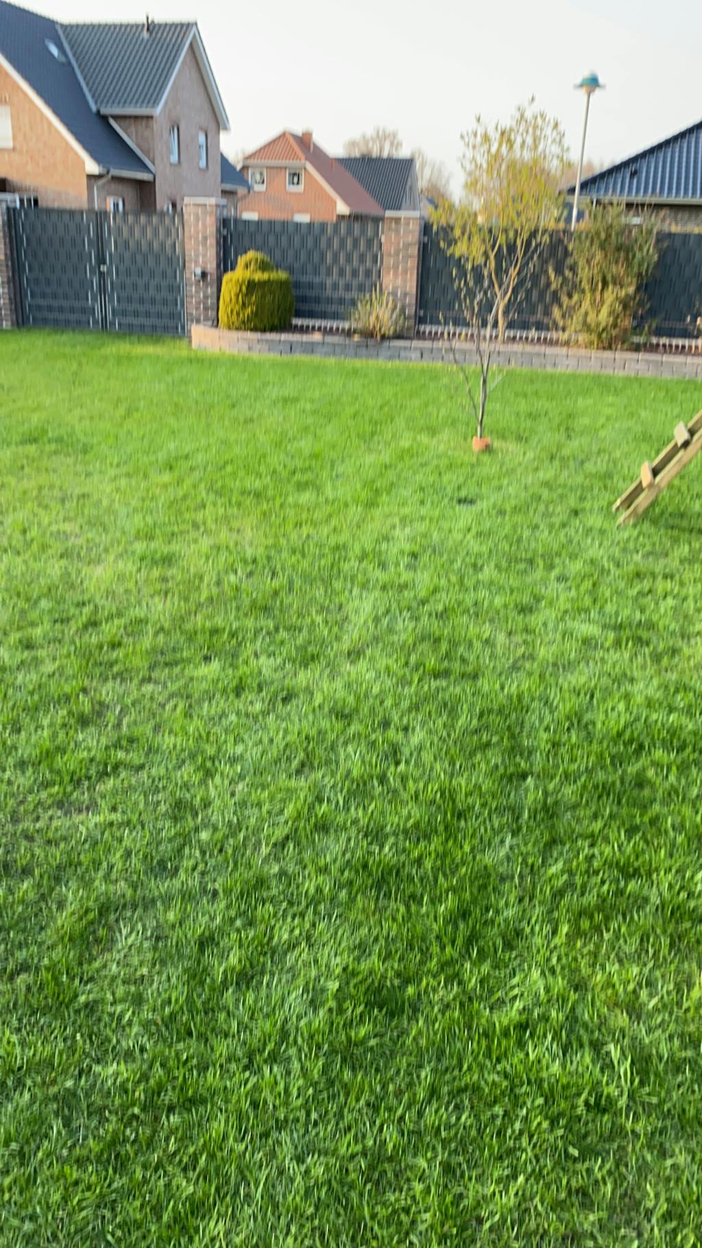 Für gesunde, tiefe Rasenwurzeln - der Turbogrün Langzeitrasendünger