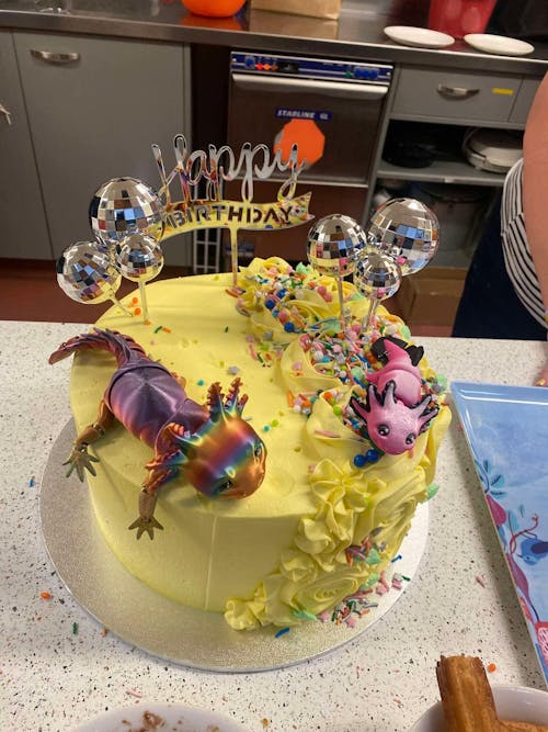 [Clearance] Baby Axolotl