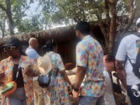 Lily Family Matching Combo