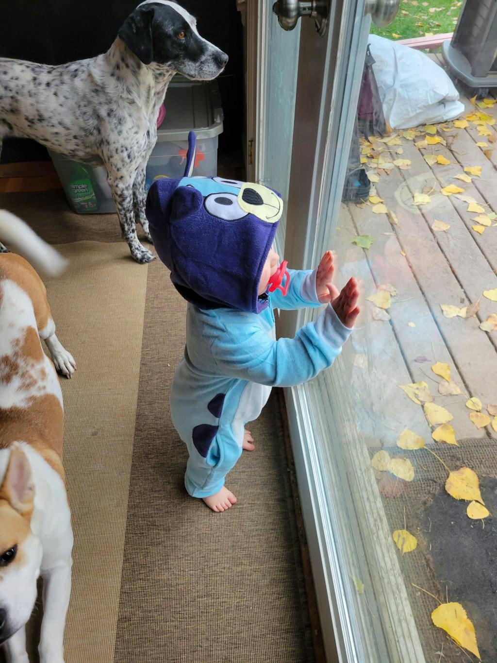 Kids Cartoon Bingo and Bluey Halloween Costume Jumpsuit Cosplay