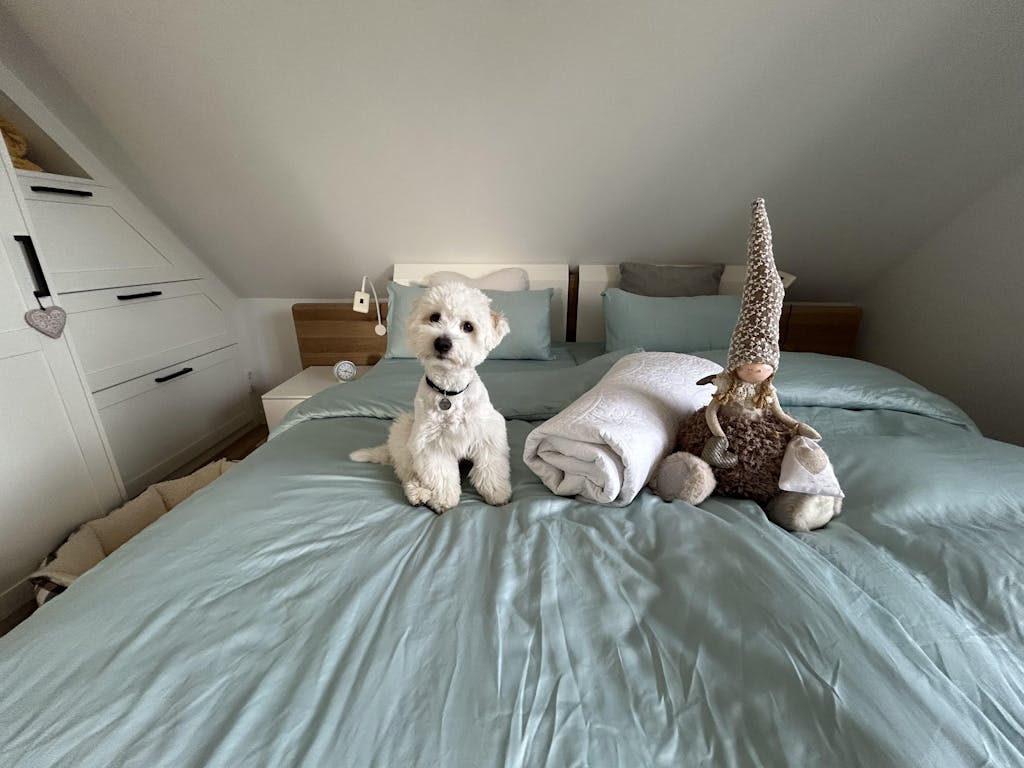 Lyocell Spannbettlaken Mint Green