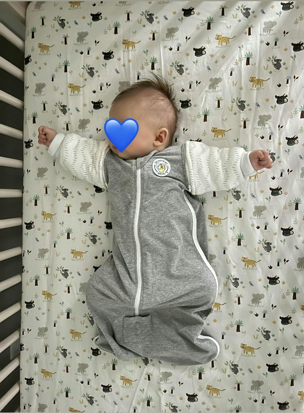 Swaddle Sleeves Sack™ & Mitten Sleeves Set Two Baby Bears and Co.™