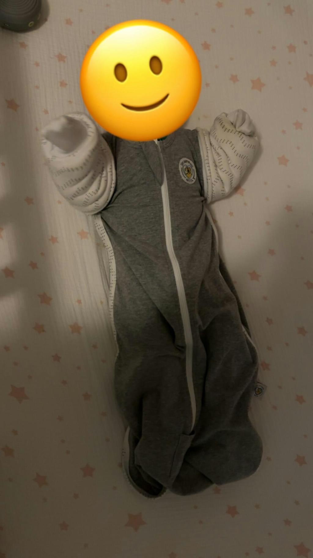 Swaddle Sleeves Sack™ & Mitten Sleeves Set Two Baby Bears and Co.™