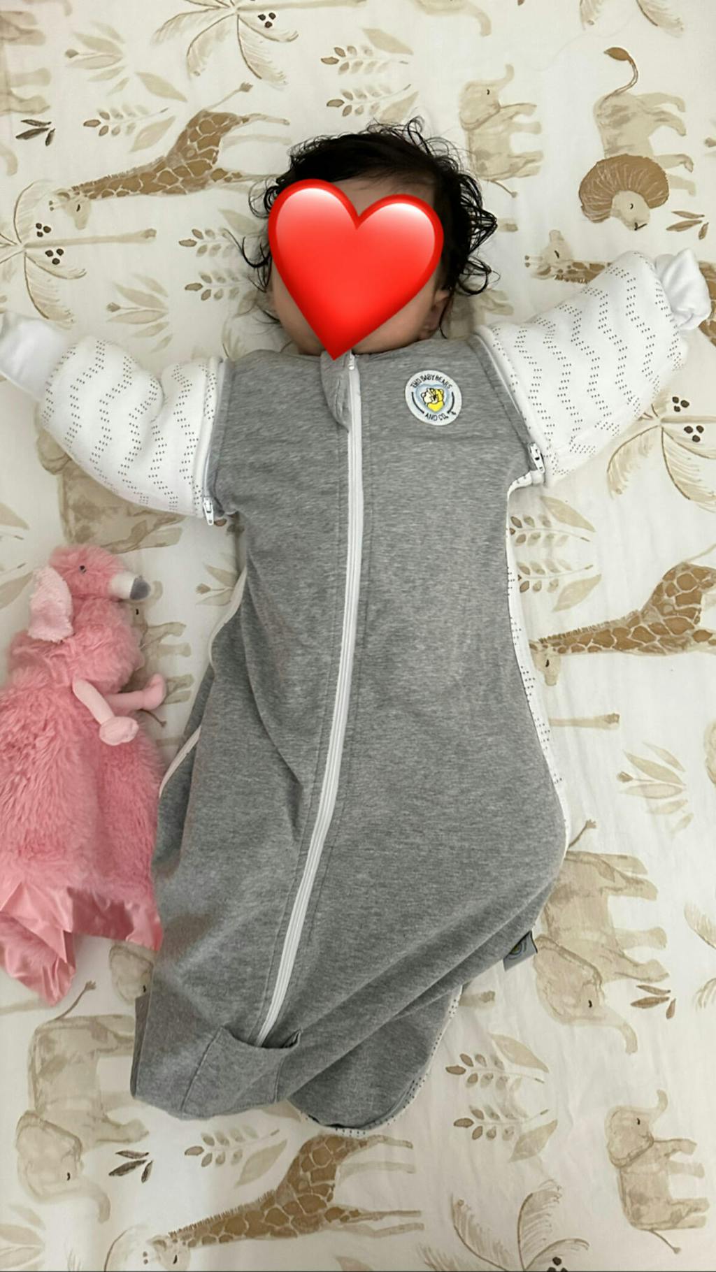 Swaddle Sleeves Sack™ & Mitten Sleeves Set Two Baby Bears and Co.™