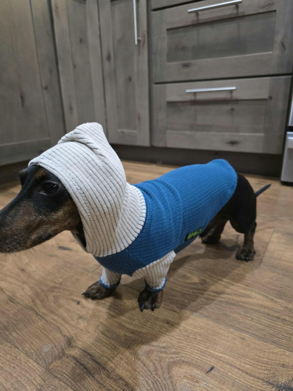 Marine with fog hood and sleeves-dog hoodie