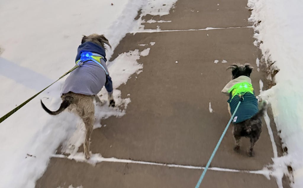 Dusk(pale lavender)body with rain hood and sleeves-Dog Hoodie