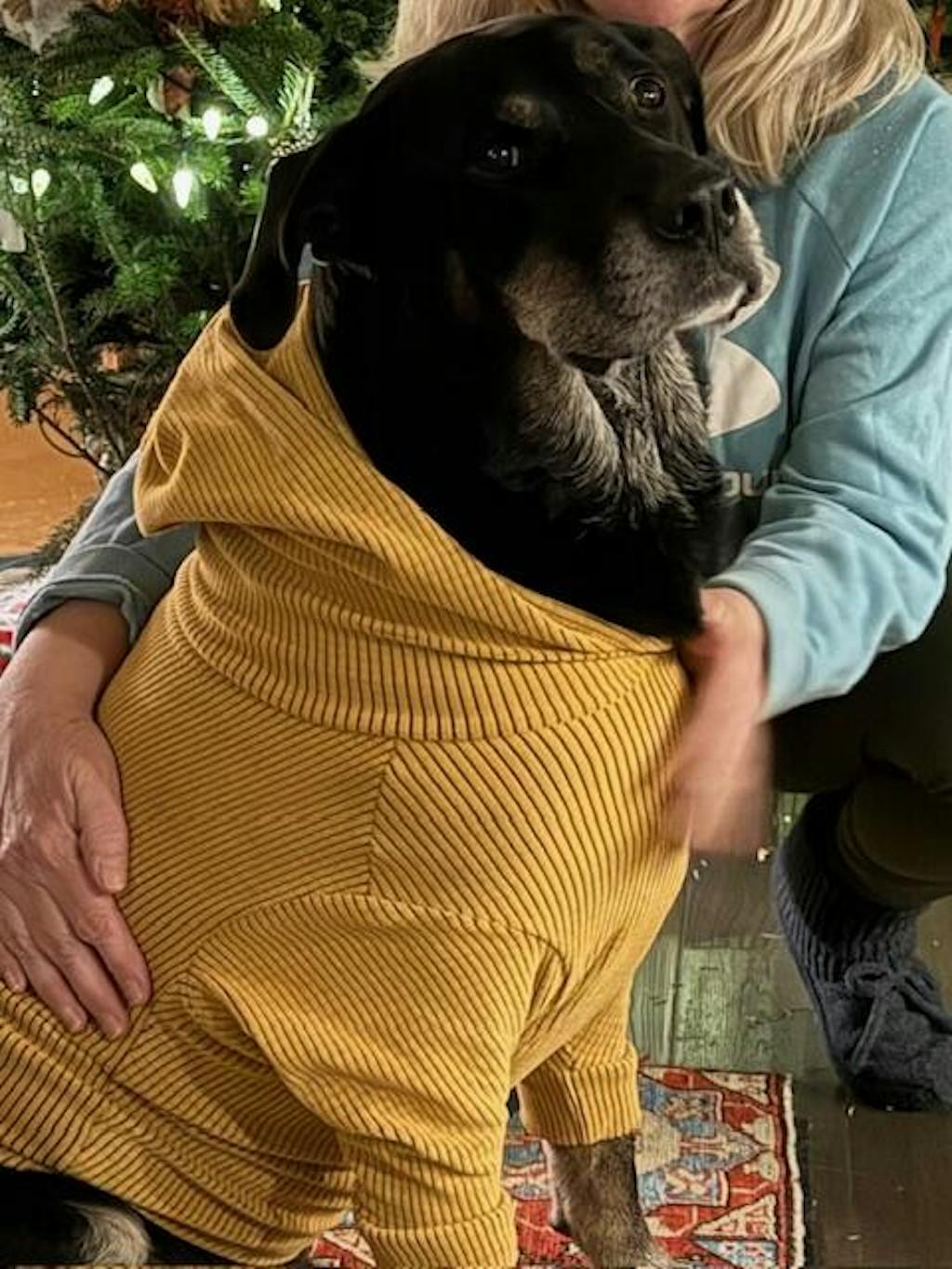 Solid colored Sunflower-Dog Hoodie