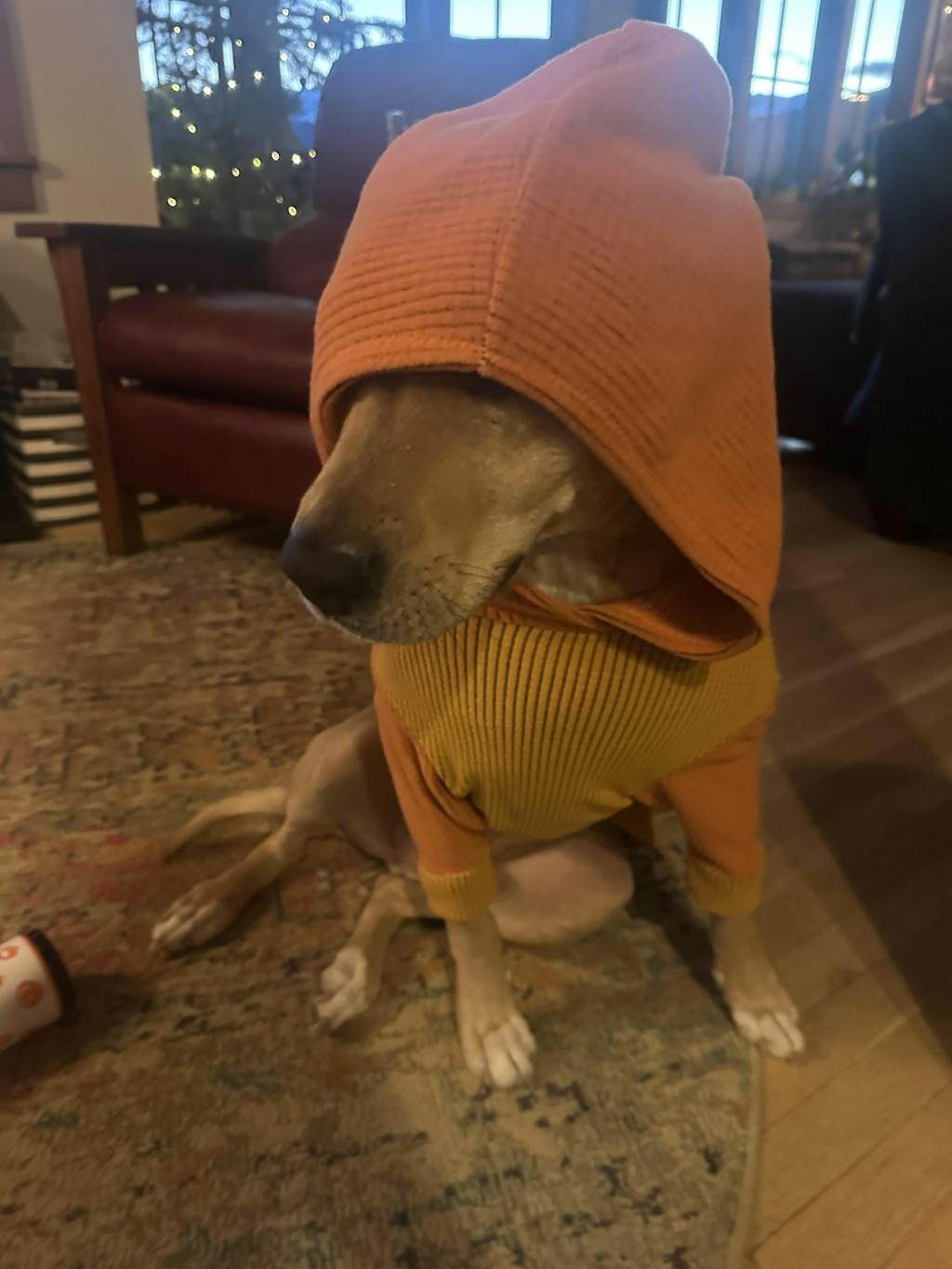Sunflower body with carrot hood and sleeves -Dog Hoodie
