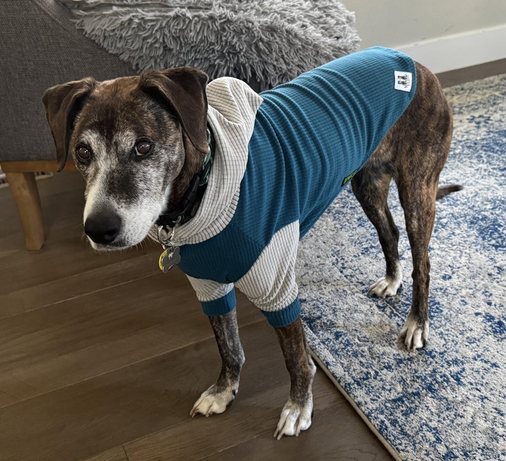 Marine with fog hood and sleeves-dog hoodie