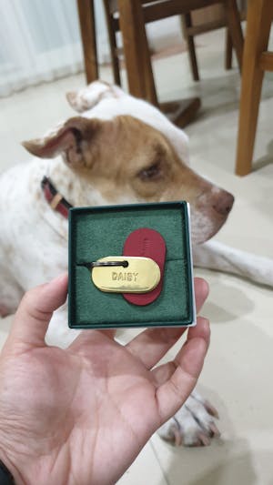dog tag